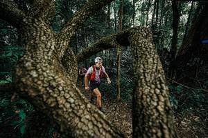 BIB: 
                            <button type="button" onclick="openModal(25389737)" class="btn btn-primary btn-sm float-right btn-popup" data-toggle="modal" data-target=".modal-high-quality">
                        <i class="fas fa-shopping-cart"></i> Add to Cart
                    </button>
                                            <button type="button" onclick="isThisMe(25389737, true)" class="btn btn-success btn-sm float-right btn-popup btn-isme hidden" data-toggle="tooltip" data-placement="bottom" title="นี่คือรูปของคุณใช่ไหม คลิกที่นี่เพื่อเอาเข้าอัลบั้ม">
                        <i class="fas fa-plus"></i> Add to album
                    </button>
                    <button type="button" onclick="isThisMe(25389737, false)" class="btn btn-warning btn-sm float-right btn-popup btn-isnotme hidden">
                        <i class="fas fa-ban"></i> Remove from album
                    </button>